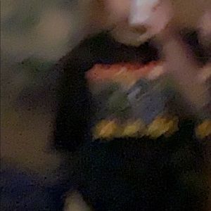 Meet your Posher, Nancy